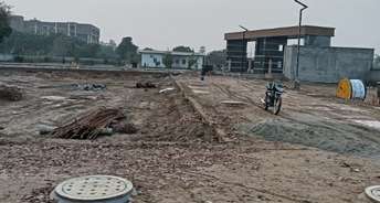  Plot For Resale in Sector 11 Sonipat 6856359