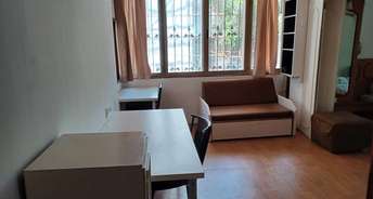 1 BHK Apartment For Rent in Bandra West Mumbai 6856415