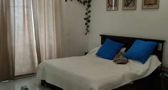 2.5 BHK Apartment For Rent in 3C Lotus Boulevard Sector 100 Noida 6856699