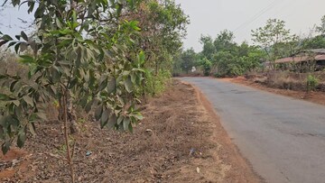 Plot For Resale in Dodamarg Sindhudurg  6856815