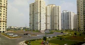 3 BHK Apartment For Rent in DLF Westend Heights New Town Akshayanagar Bangalore 6857063