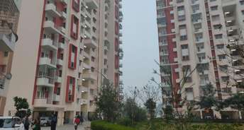 3 BHK Apartment For Rent in Avadh Vihar Yojna Lucknow 6857074