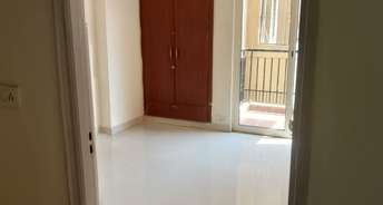 1 BHK Apartment For Rent in Maxblis Grand Wellington Sector 75 Noida 6857083