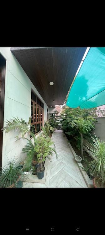 5 BHK Villa For Resale in RWA Apartments Sector 41 Sector 41 Noida  6857089