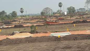 Plot For Resale in Kankipadu Vijayawada  6857556