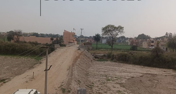  Plot For Resale in Bhopani Village Faridabad 6857596