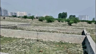 Plot For Resale in Mewala Maharajpur Faridabad  6857704