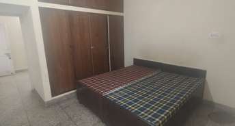 2 BHK Builder Floor For Rent in Sector 37 Chandigarh 6857894