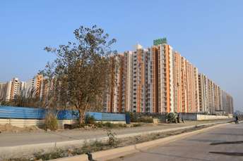 1 BHK Apartment For Rent in Wave Dream Homes Dasna Ghaziabad 6857999