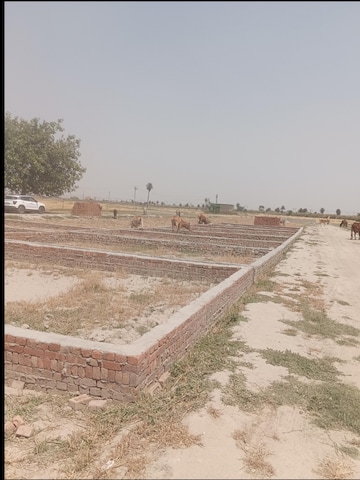 Plot For Resale in Neharpar Faridabad  6858570