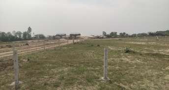  Plot For Resale in Yamuna Expressway Greater Noida 6859351