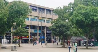 Commercial Office Space 2500 Sq.Ft. For Rent In Sector 17 Chandigarh 6859415