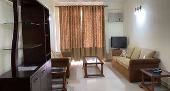 4 BHK Builder Floor For Rent in DLF The Carlton Estate Dlf Phase V Gurgaon 6860037