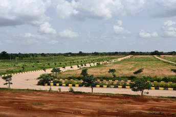  Plot For Resale in Fortune Butterfly City Kadthal Hyderabad 6861351