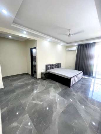 2 BHK Builder Floor For Rent in DLF City Phase V Dlf Phase V Gurgaon  6861617