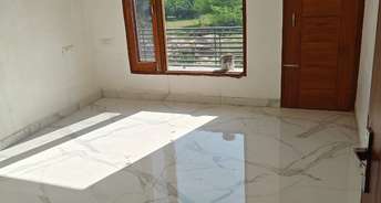 2 BHK Builder Floor For Rent in Patiala Road Zirakpur 6861656