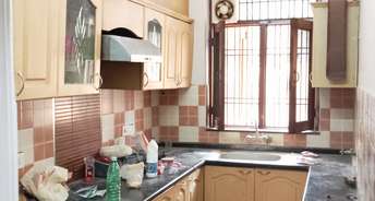 3 BHK Builder Floor For Rent in Sector 17 Faridabad 6862182