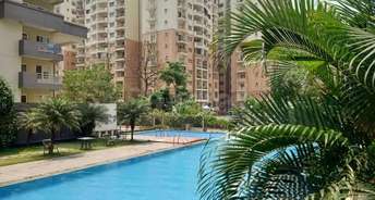 3 BHK Apartment For Rent in MRKR Mera Homes Whitefield Bangalore 6862423