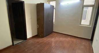 2 BHK Apartment For Rent in Noida Central Noida 6862791