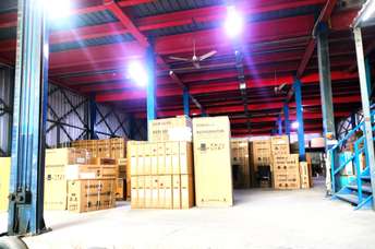 Commercial Warehouse 16000 Sq.Ft. For Rent In Nangli Sakrawati Delhi 6862772