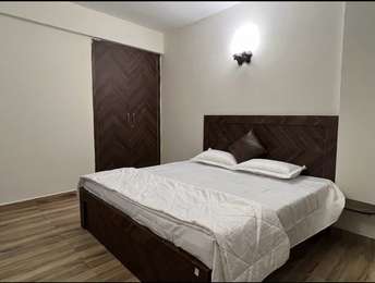 3 BHK Villa For Rent in Damodar Complex Sector 37 Noida 6863137