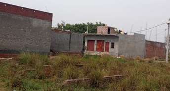  Plot For Resale in Antriksh Noida Sector 52 Noida 6863780