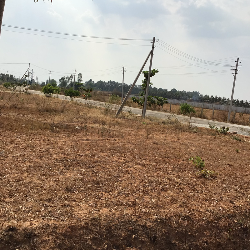 Plot For Resale in Devanahalli Road Bangalore  6864277