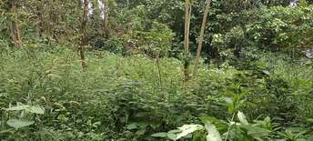  Plot For Resale in Pattambi Palakkad 6859230