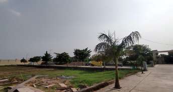  Plot For Resale in Amolik Aster Woods Sector 98 Faridabad 6865394