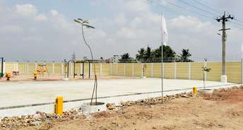  Plot For Resale in Madurai Road Trichy 6865692