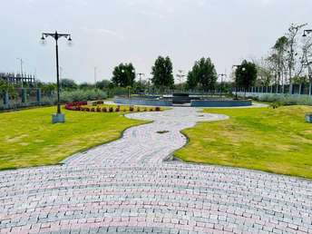 Plot For Resale in Sector 33 Sonipat  6865719