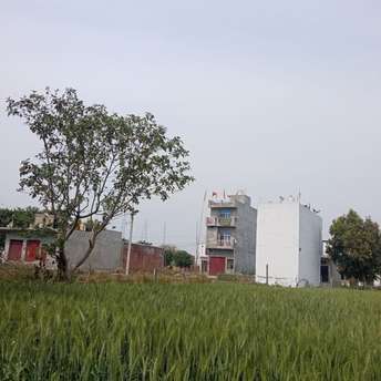 Plot For Resale in Vidhan Sabha Marg Raipur  6866018