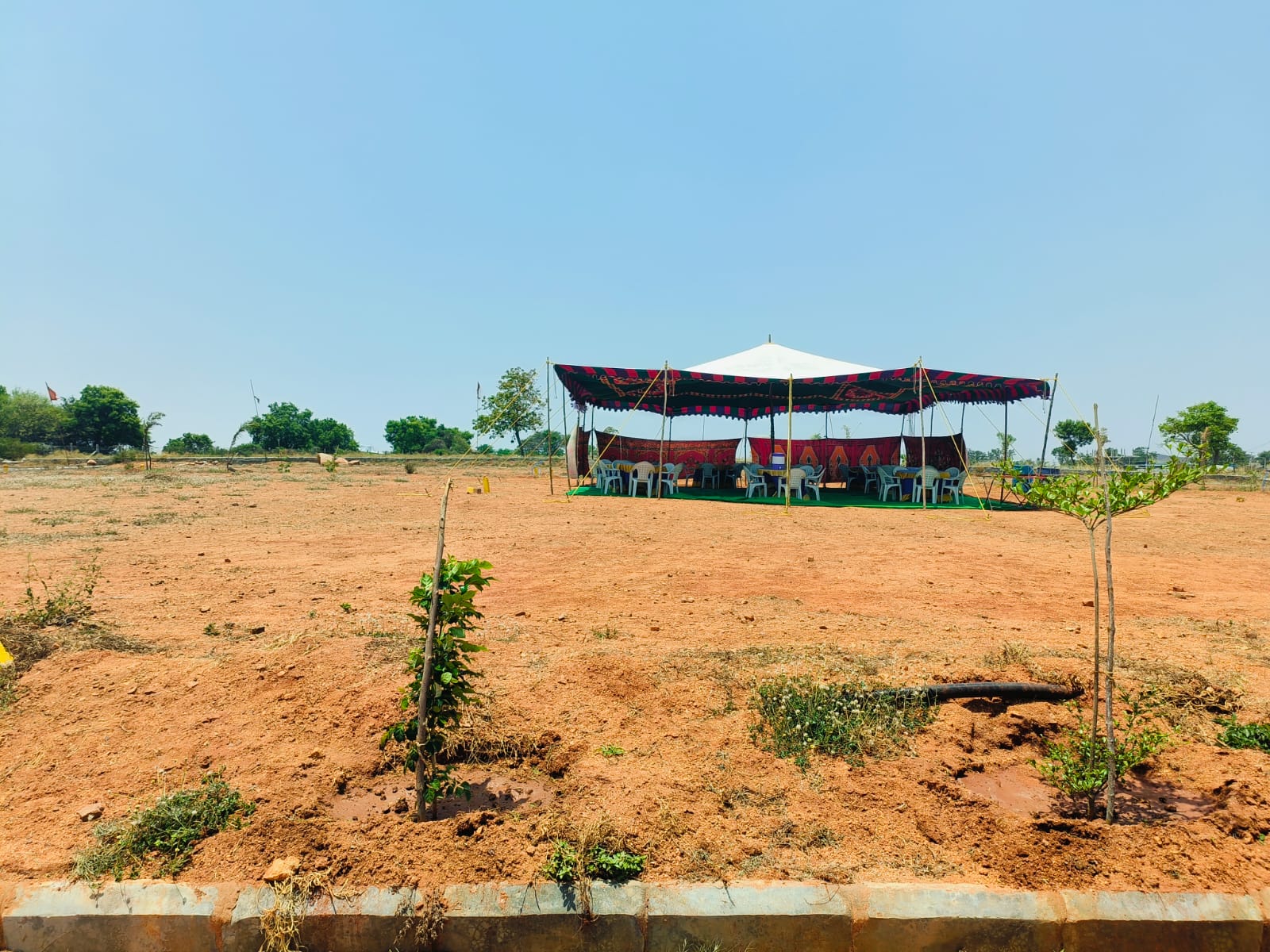 Plot For Resale in Thummaloor Hyderabad  6866746