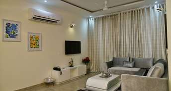 3 BHK Apartment For Resale in Sector 126 Mohali 6867039