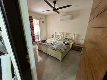 3 BHK Builder Floor For Rent in Vipul World Plots Sector 48 Gurgaon 6867727