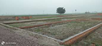  Plot For Resale in Sector 28 Faridabad 6868120