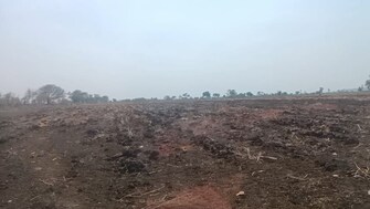 Commercial Land 38 Acre For Resale in Ring Road Gulbarga  6868288