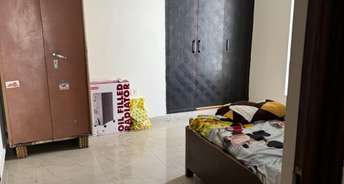 3 BHK Builder Floor For Rent in Vibhuti Khand Lucknow 6868919