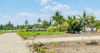 Commercial Land 16 Acre For Resale In Dhanori Pune 6869061