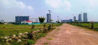  Plot For Resale in Pari Chowk Greater Noida 6869105