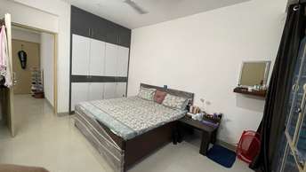 1 BHK Apartment For Rent in Lotus Homz Sector 111 Gurgaon 6837998