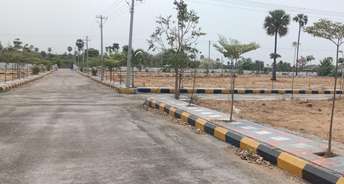  Plot For Resale in Rampally Hyderabad 6869985