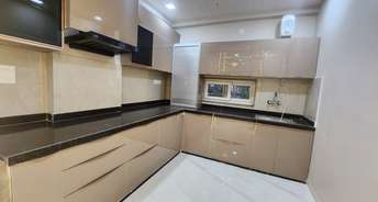 2 BHK Apartment For Rent in Indira Enclave Neb Sarai Neb Sarai Delhi 6870569