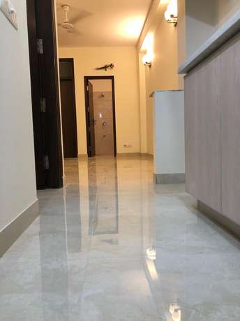 4 BHK Builder Floor For Rent in Designer Floor Vasant Vihar Delhi 6872038