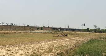  Plot For Resale in Tapasya Corp Heights Sector 126 Noida 6872274