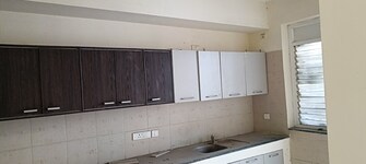 3 BHK Apartment For Resale in Puri Pranayam Sector 82 Faridabad  6872603