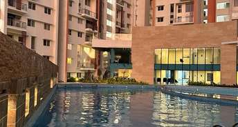 2 BHK Apartment For Rent in Shriram Blue Kr Puram Bangalore 6872960