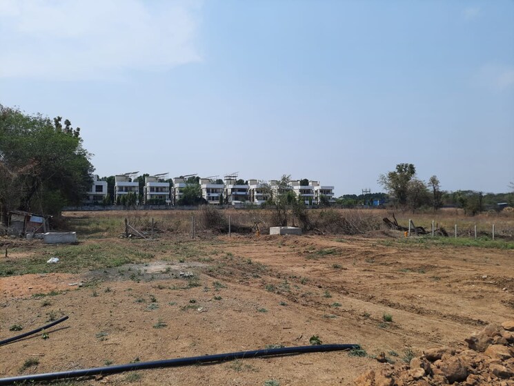 undefined, dholera  1368 Sq.Ft. Plot In Dholera Ahmedabad 6873617