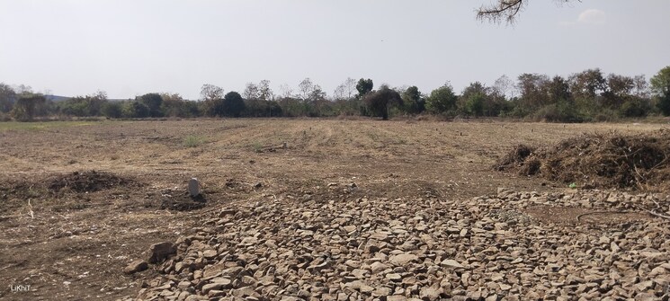 undefined, dholera  1368 Sq.Ft. Plot In Dholera Ahmedabad 6873617