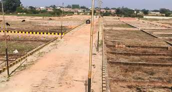 Plot For Resale in Faizabad Road Lucknow 6873888